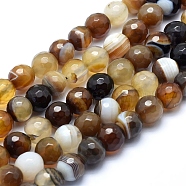 Natural Striped Agate/Banded Agate Beads, Dyed, Faceted Round, Coffee, 8mm, Hole: 1mm, about 48pcs/strand, 14.1 inch(36cm)(G-J371-14-8mm)
