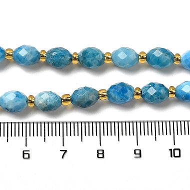 perles naturelles apatite brins(G-H297-C03-01)-4