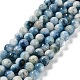 Natural Blue Ice Glacierite Stone Beads Strands(G-G078-A01-01)-1