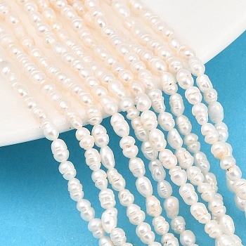 Natural Cultured Freshwater Pearl Beads Strands, Rice, Grade 3A, Beige, 3~4mm, Hole: 0.5mm, about 72~73pcs/strand, 13.31''(33.8cm)~13.43''(34.1cm)
