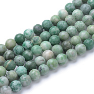 Natural Qinghai Jade Beads Strands, Round, 6~6.5mm, Hole: 1mm, about 63pcs/strand, 15.5 inch(X-G-T055-6mm-16)