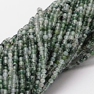 Natural Moss Agate Beads Strands, Round, 2mm, Hole: 0.5mm, about 190pcs/strand(X-G-N0184-07-2mm)