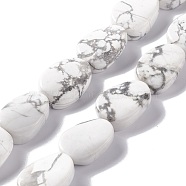 Natural Howlite Beads Strands, Twist Oval, 17.5~18.5x12.5~13.5x5.5~6.5mm, Hole: 1mm, about 23pcs/strand, 15.43''~16.22''(39.2~41.2cm)(G-M208-13)