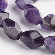 Nuggets Natural Amethyst Beads Strands, 15~22x8~17mm, Hole: 1mm, about 18~22pcs/strand, 15 inch(G-D770-05)