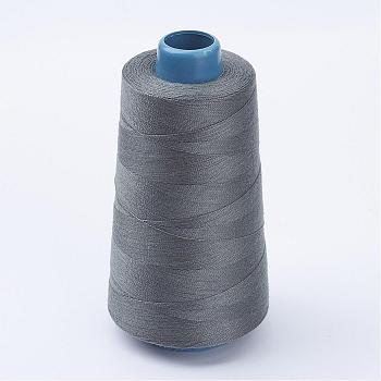 Polyester Thread, Gray, 0.28mm, about 1749.78 yards(1600m)/roll