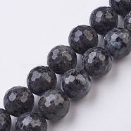 Natural Larvikite Beads Strands, Faceted, Round, 18mm, Hole: 1mm, about 21pcs/strand, 15.7 inch(40cm)(G-J376-47B-18mm)