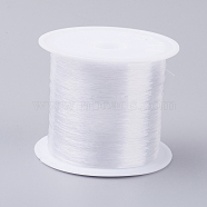 Fishing Thread Nylon Wire, Clear, 0.35mm, about 52.49 yards(48m)/roll(NWIR-G015-0.35mm-01)