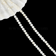 Natural White Shell Beads Strands, Mother of Pearl Shell Bead, Round, Antique White, 3.5mm, Hole: 0.5mm, about 112pcs/strand, 15.35''(39cm)(SHEL-WH0001-007)