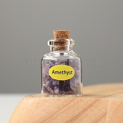 Natural Amethyst Display Decorations, Reiki Energy Stone Chip Wishing Bottle, 20x30mm(DJEW-PW0009-013I)