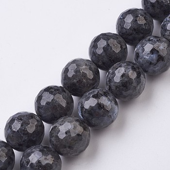 Natural Larvikite Beads Strands, Faceted, Round, 18mm, Hole: 1mm, about 21pcs/strand, 15.7 inch(40cm)