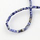 Natural Blue Spot Gemstone Beads Strands(G-R181-16)-2