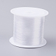 Fishing Thread Nylon Wire(NWIR-G015-0.35mm-01)-1