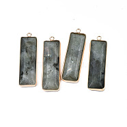 Natural Labradorite Pendants, with Golden Tone Brass Findings, Rectangle, 48~49x13x4~5mm, Hole: 2.5mm(G-S359-386C)