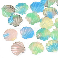 Opaque Cellulose Acetate(Resin) Cabochons, Shell, Mixed Color, 17.5x19x4mm(KY-N018-05)
