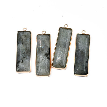 Natural Labradorite Pendants, with Golden Tone Brass Findings, Rectangle, 48~49x13x4~5mm, Hole: 2.5mm