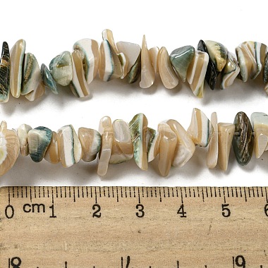 Natural Seashell Shell Beads Strands(SSHEL-H072-07)-4