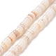 Natural Freshwater Shell Beads Strands(X-SHEL-G011-09-A02)-1