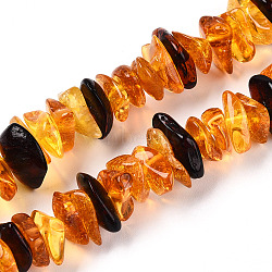 Natural Amber Beads Strands, Chip, Orange, 3~5x8~14.5x7~9.5mm, Hole: 0.7mm, about 106~108pcs/strand, 15.35~15.8''(39~39.5cm)(G-T138-235E)