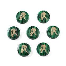 Synthetic Malachite Beads, with Golden Tone Brass Slices, Flat Round with Constellations, Aquarius, 15x4mm, Hole: 1mm(G-F775-D05)