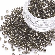 8/0 Glass Bugle Beads, Silver Lined, Light Grey, 2.5~3x2.5mm, Hole: 1mm, about 15000pcs/pound(SEED-S032-07A-58)