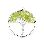 Natural Peridot Tree fo Life Pendants, Iron Ring Chip Gems Tree Charms, Platinum, 30mm(WG82707-14)