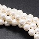 Shell Pearl Beads Strands(X-BSHE-E008-10mm-12)-1