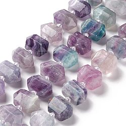 Natural Fluorite Beads Strands, Faceted, Double Terminated Pointed/Bullet, 12.5~13x23~23.5x13~14mm, Hole: 1.8mm, about 22pcs/strand, 15.55~15.75 inch(39.5~40cm)(G-F719-02)
