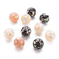 Natural Mixed Shell Beads, Round, Mixed Color, 14.5mm, Hole: 1mm(SSHEL-T014-37-14mm)