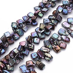 Natural Keshi Pearl Beads Strands, Cultured Freshwater Pearl, Dyed, Square, Marine Blue, 11~21x9~13x3~5mm, Hole: 0.5mm, about 64~96pcs/strand, 16.14 inch(41cm)(PEAR-S021-075D-04)
