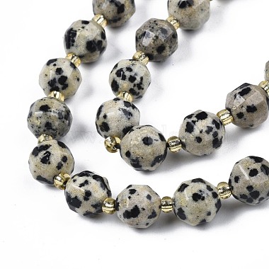 Natural Dalmatian Jasper Beads Strands(G-N326-100-02)-3
