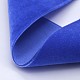 Polyester Velvet Ribbon for Gift Packing and Festival Decoration(SRIB-M001-10mm-352)-2