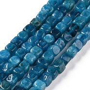 Natural Quartz Beads Strands, Dyed & Heated, Cube, Prussian Blue, 5~7x5~7x5~7mm, Hole: 0.8mm, about 66~71pcs/strand, 14.80~ 15.08 inchi(37.6~38.3cm)(G-C023-09A)