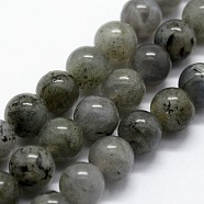 Natural Labradorite Beads Strands, Round, 6mm, Hole: 0.8mm, about 63pcs/strand,  14.76 inch(37.5cm)(G-I199-15-6mm)