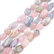 Natural Morganite Beads Strands, Oval, 8~15x7~12x4~12mm, Hole: 1mm, about 30~45pcs/strand, 15.7(G-R445-8x10-28)