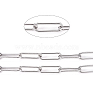 304 Stainless Steel Paperclip Chains, Drawn Elongated Cable Chains, Soldered, with Spool, Stainless Steel Color, Links: 10x3x1mm, about 32.8 Feet(10m)/roll(CHS-L022-02P)
