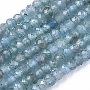 Natural Apatite Beads Strands, Rondelle, Faceted, 3x2mm, Hole: 0.7mm, about 185pcs/Strand, 15.55 inch(39.5cm)(G-R462-023)