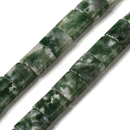 Natural Green Spot Jasper Beads Strands, 2-Hole, Square, 5.5x5.5x2.5mm, Hole: 0.8mm, about 71pcs/strand, 15.24 inch(38.7cm)(G-F762-A21-01)