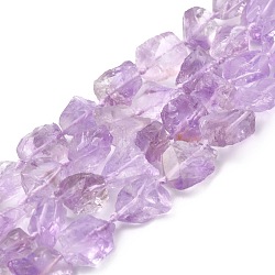 Rough Raw Natural Amethyst Beads Strands, Nuggets, 10.5~19.5x8.5~17x8~13mm, Hole:1.2mm, about 24pcs/strand, 15.75''(40cm)(G-C069-01)