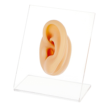 Soft Silicone Left Ear Displays Mould, with Acrylic Stands, Earrings Ear Stud Display Teaching Tools for Piercing Suture Acupuncture Practice, Clear, Stand: 8x4.6x9cm, Slilcone Ear: about 5.9x3.6x3.4cm, about 2pcs/set