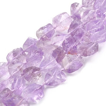 Rough Raw Natural Amethyst Beads Strands, Nuggets, 10.5~19.5x8.5~17x8~13mm, Hole:1.2mm, about 24pcs/strand, 15.75''(40cm)