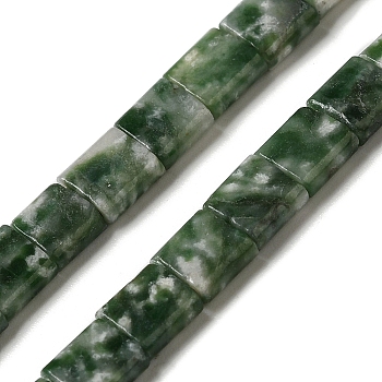 Natural Green Spot Jasper Beads Strands, 2-Hole, Square, 5.5x5.5x2.5mm, Hole: 0.8mm, about 71pcs/strand, 15.24 inch(38.7cm)