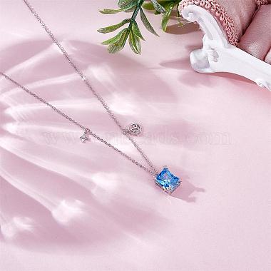 925 Sterling Silver Zircon Pendant Necklace 12 Constellation Pendant Necklace Jewelry Anniversary Birthday Gifts for Women Men(JN1088F)-3