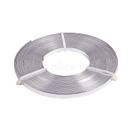 Aluminum Wire, Flat, Silver, 5mm, about 32.8 Feet(10m)/roll(AW-BC0002-01B-5mm)