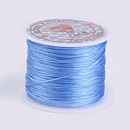 Flat Elastic Crystal String, Elastic Beading Thread, for Stretch Bracelet Making, Cornflower Blue, 0.5mm, about 49.21 yards(45m)/roll(EW-P002-0.5mm-A26)