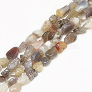 Natural Botswana Agate Beads Strands, Tumbled Stone, Nuggets, 9~20x8~13x4~13mm, Hole: 1mm, about 30~55pcs/strand, 15.7 inch(X-G-S302-30)