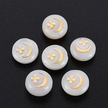 Seashell Color Flat Round Freshwater Shell Beads
