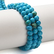 Dyed Natural Magnesite Beads Strands, Round, 4mm, Hole: 0.6mm, about 100pcs/strand, 15.94''(40.5cm)(G-Q181-B01-01)