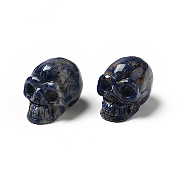 Halloween Natural Sodalite Display Decorations, Home Decorations, Skull, 35~37x30~31x48~50.5mm