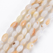 Natural Freshwater Shell Beads Strands, Rice, Linen, 5x3mm, Hole: 0.9mm, about 83~85pcs/strand, 15.55 inch~15.75 inch(39.5~40cm)(SHEL-N027-08B)