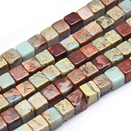 Natural Aqua Terra Jasper Beads Strands, Cube, 6x6x6mm, Hole: 0.7mm, about 64pcs/strand, 15.7 inch(40cm)(G-I213-01-6mm)